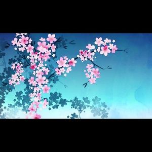 Meet your Posher, Sokha